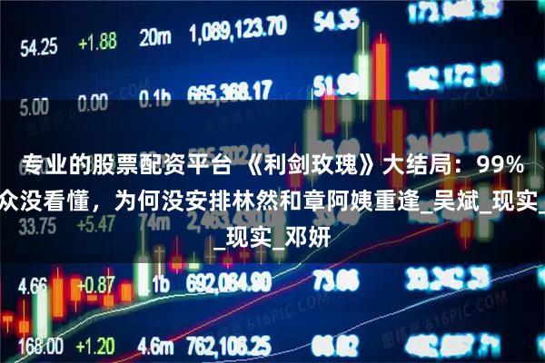 专业的股票配资平台 《利剑玫瑰》大结局：99%的观众没看懂，为何没安排林然和章阿姨重逢_吴斌_现实_邓妍